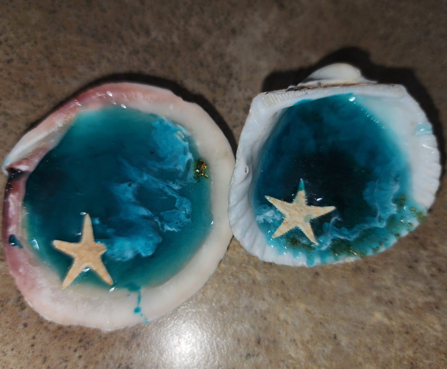 Clam shells magnets